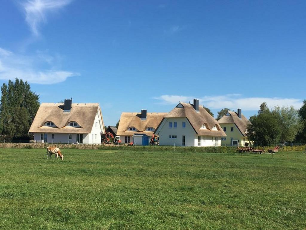 Reetdachhaeuser Boergerende 外观 照片